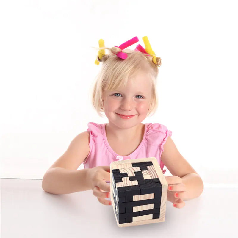 Wooden Lock Puzzle, Rubik's Cube, Brain Teaser Blocks