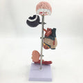 5-Part Hypertension Model for Brain, Heart, and Organs